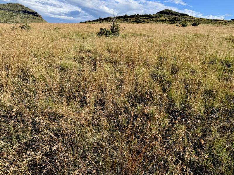 0 Bedroom Property for Sale in Fouriesburg Free State